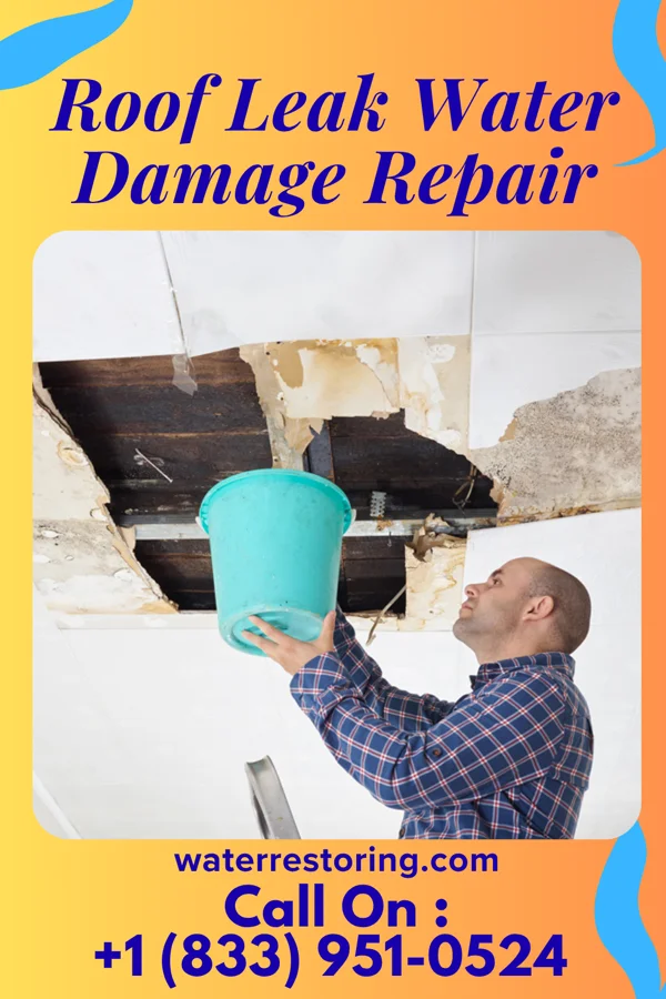 Roof Leak Water Damage Repair in Goshen, VA