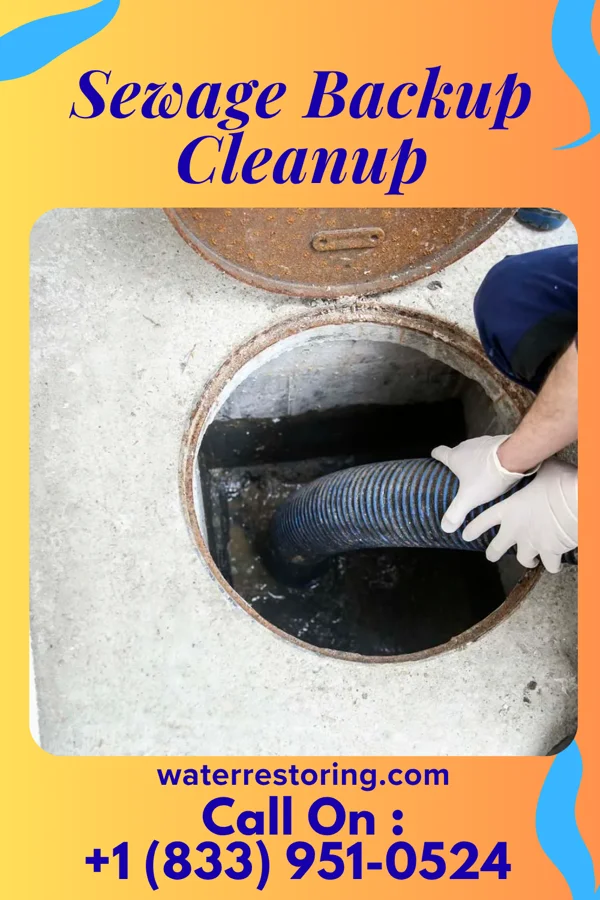 Sewage Backup Cleanup in Goshen, VA