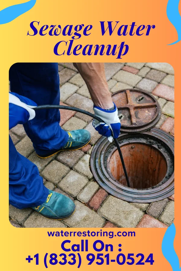 Sewage Water Cleanup in Goshen, VA