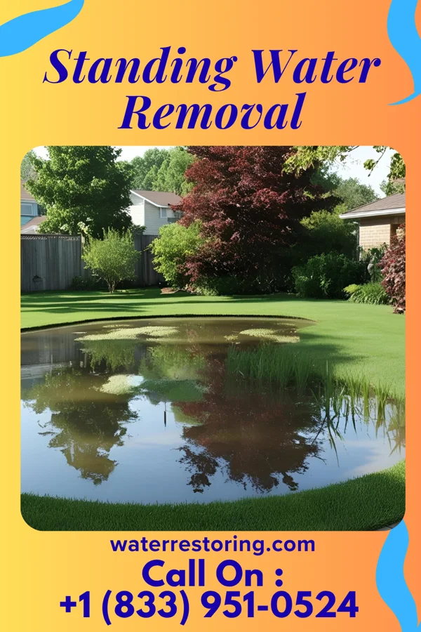 Standing Water Removal in Goshen, VA
